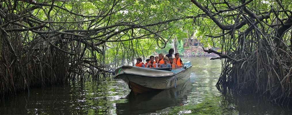 Holiday Home Bentota Ngoại thất bức ảnh